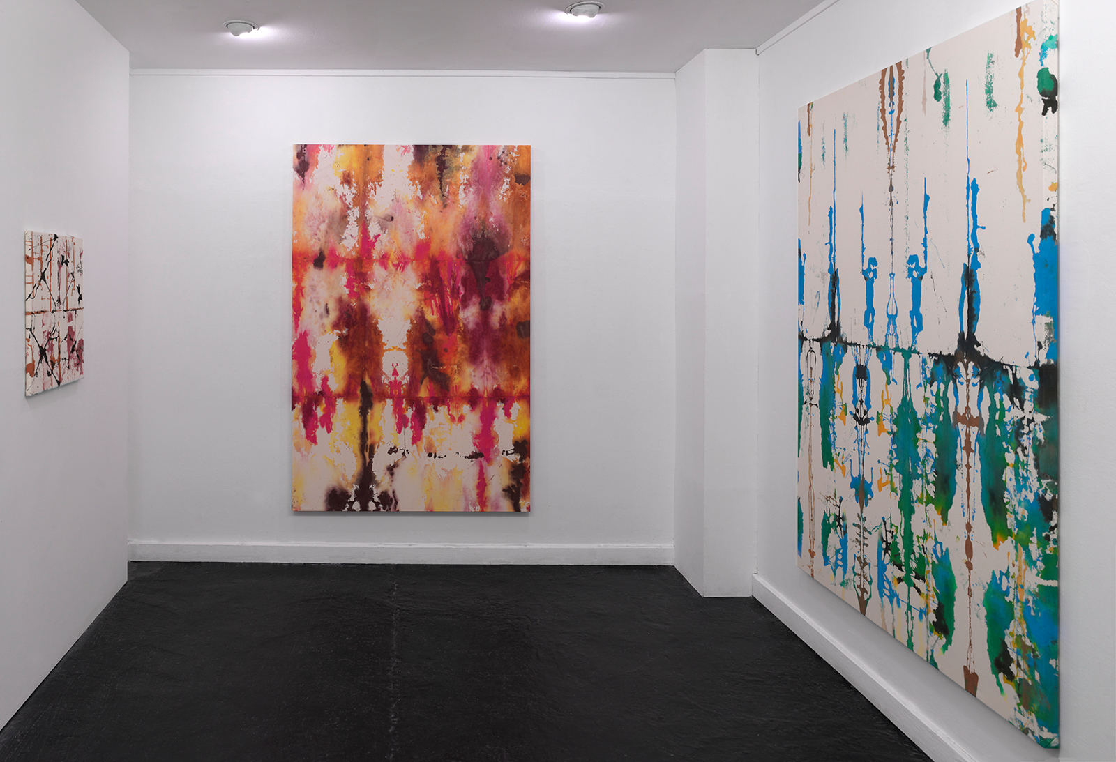 Installation View 2019